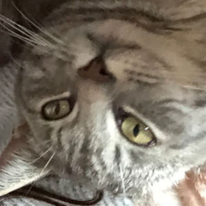 Meet your Posher, Claudia